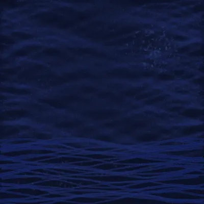 the starry night